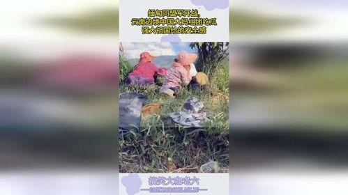 云南大妈吃瓜视频播放,揭秘民间趣味生活瞬间