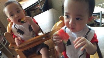 呆萌吃瓜小伙儿视频下载,视频下载攻略大揭秘