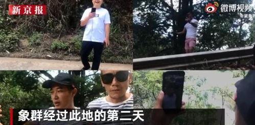 云南主播直播吃瓜视频,揭秘网红美食背后的故事