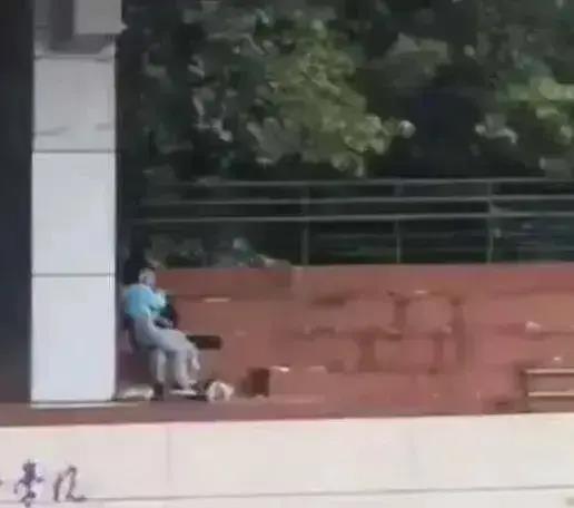 陇西吃瓜事件视频,一场引发热议的网络风波