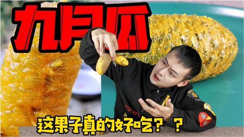 吃九月瓜的视频,视频带你领略秋季养生佳品