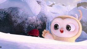 吃瓜小熊潜水视频,吃瓜小熊的潜水探险记