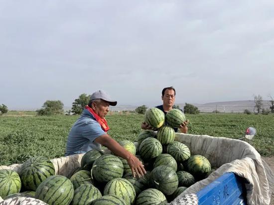 南宁武鸣区吃瓜事件视频,一场网络热议的真相追踪