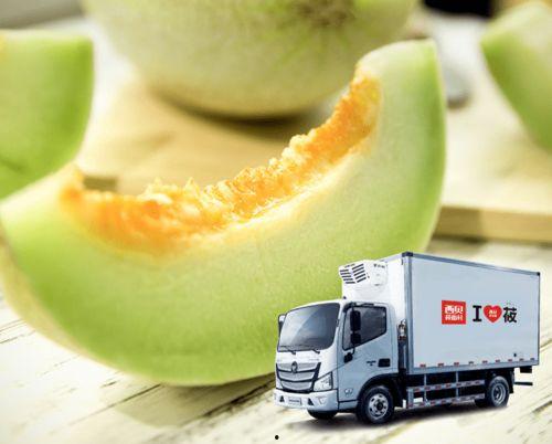 吃一个白兰瓜会怎样呢视频,揭秘吃白兰瓜的神奇效果